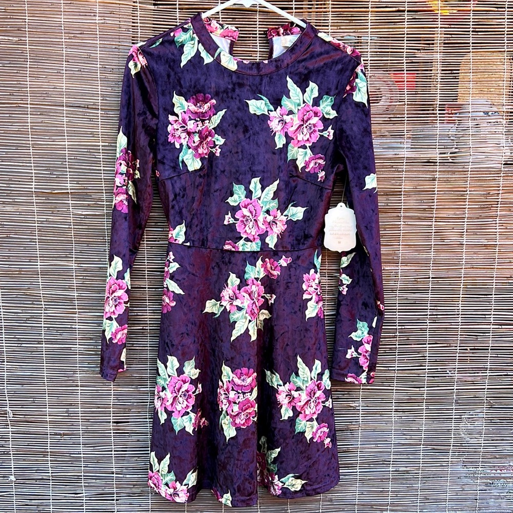 Altered state NWT size Small velvet dress